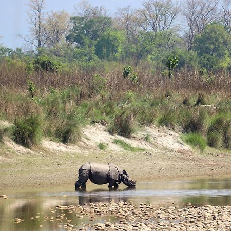 Forest Hideaway Resort Pvt Ltd Bardiya Exterior photo