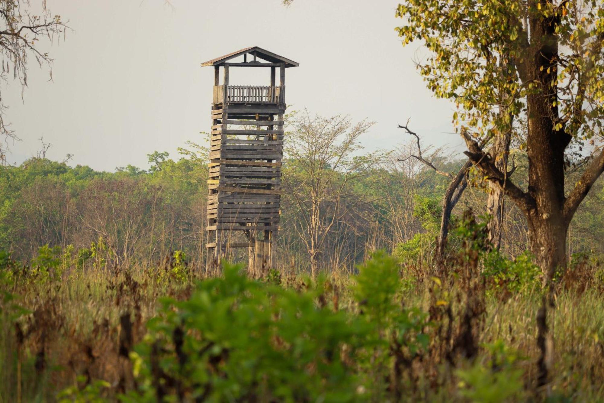 Forest Hideaway Resort Pvt Ltd Bardiya Exterior photo